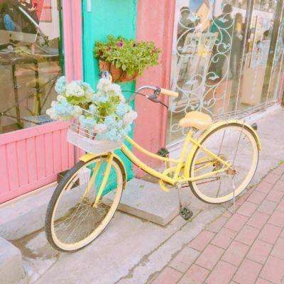 im电竞官方网站入口·官方网站