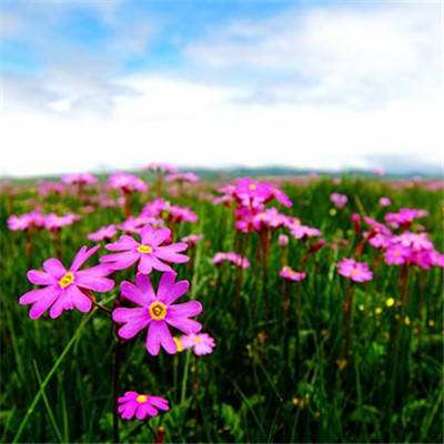 银河国际官网app下载手机app下载