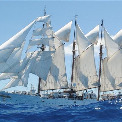 bat·365(中国)在线登录入口