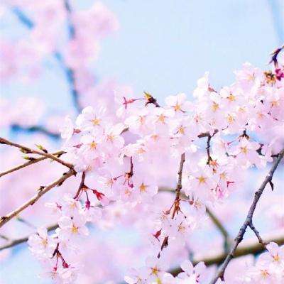 PG真人app下载截图